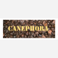 CANEPHORA